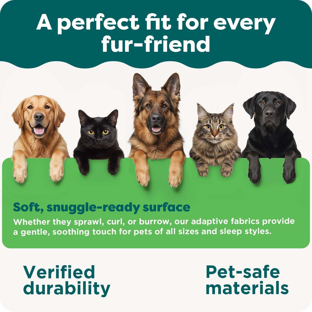 Orthopedic, Cooling Gel, and Memory Foam Pet Beds for Small, Medium, and Large Dogs and Cats - Luxe Perfect Comfort Sofa Dog Bed, Performance Linen Sofa Dog Bed, and More