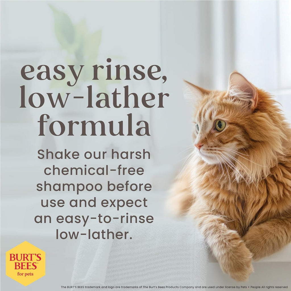 Cat Hypoallergenic Shampoo with Shea Butter & Honey | Moisturizing & Nourishing Cat Shampoo | Cruelty, Sulfate & Paraben Free, Ph Balanced for Cats - Made in USA, 10 Oz - 2 Pack