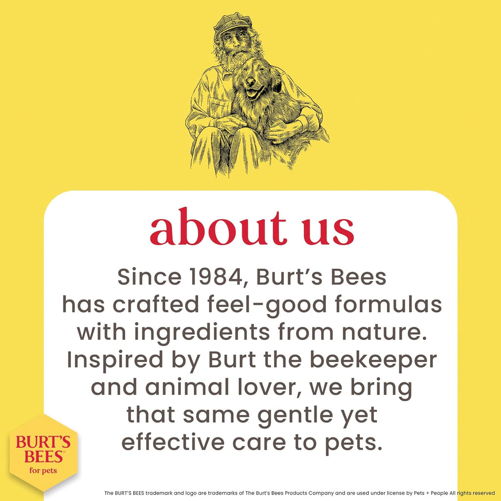 Cat Hypoallergenic Shampoo with Shea Butter & Honey | Moisturizing & Nourishing Cat Shampoo | Cruelty, Sulfate & Paraben Free, Ph Balanced for Cats - Made in USA, 10 Oz - 2 Pack